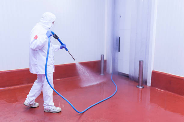 Best Roof Washing  in Colfax, CA